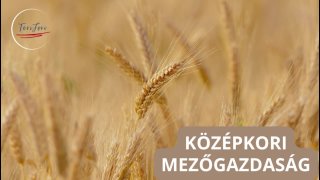 Középkori mezőgazdaság